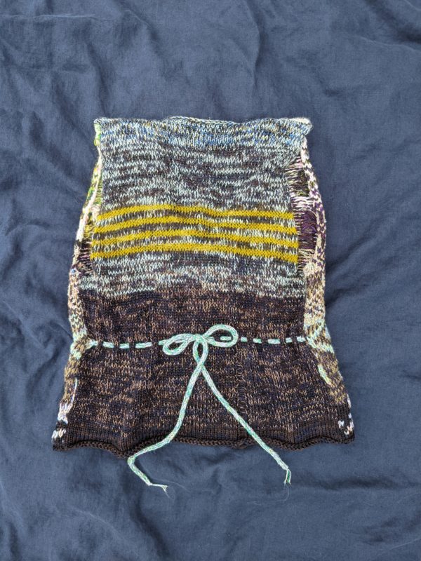 car heart vest - Image 2